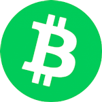 Bitcoin cash - logo