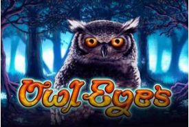 Owl Eyes review