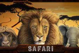 safari-new-270x180s