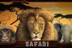 Safari review