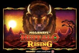 Buffalo Rising review