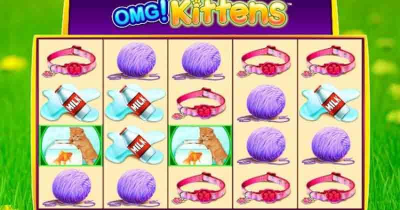 Zagraj teraz w OMG! Kittens, automat online od WMS za darmo | Kasynos Online