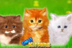 OMG! Kittens review