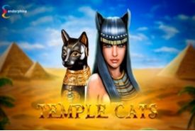 Temple Cats review