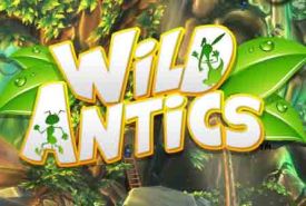 Wild Antics review