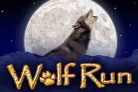 wolf-run-new-270x180s