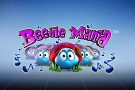 beetle-mania-logo-main-270x180s