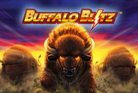 Buffalo Blitz review