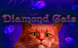 diamond-cats-slot-amatic-270x180s