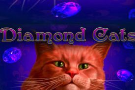Diamond Cats review