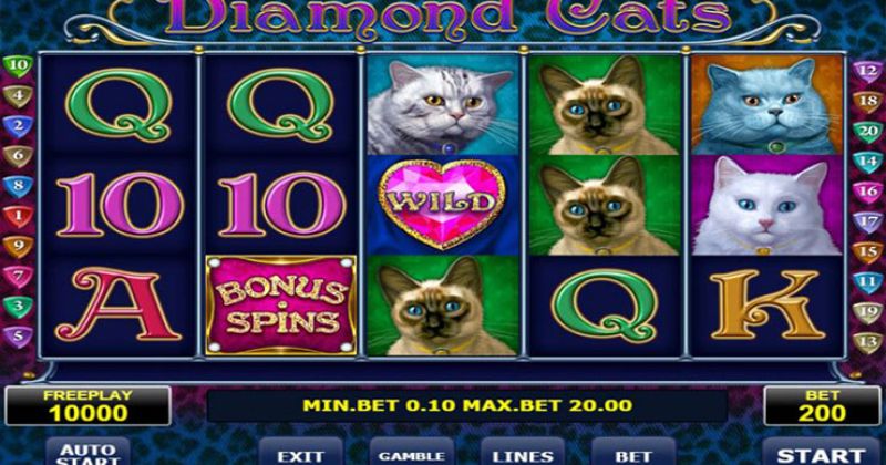 Zagraj teraz w Diamond Cats automat online od Amatic za darmo | Kasynos Online