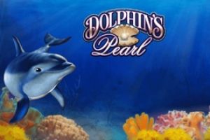 Dolphin's Pearl automat online od Greentube