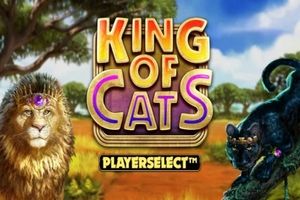 Automat King of Cats od Big Time Gaming