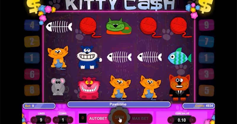Zagraj teraz w Kitty Cash automat online od 1x2 Gaming za darmo | Kasynos Online