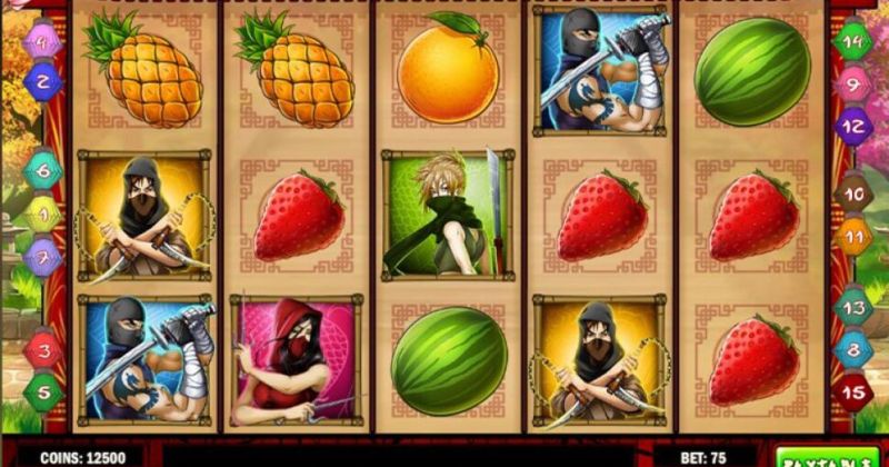 Zagraj teraz w Ninja Fruits sloty od Play’n GO za darmo | Kasynos Online