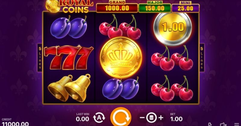 Zagraj teraz w Royal Coins Hold and Win automat online od Playson za darmo | Kasynos Online