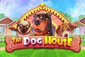 The Dog House automat