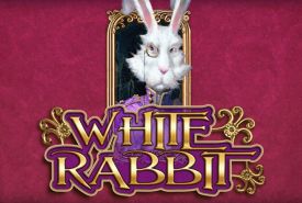 White Rabbit review