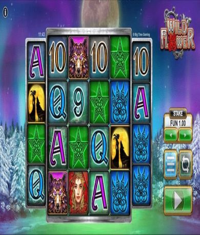 Zagraj teraz w Wild Flower slot od Big Time Gaming za darmo | Kasynos Online