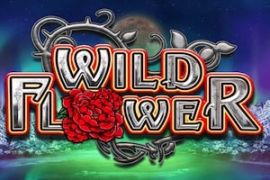 Automat Wild Flower Big Time Gaming