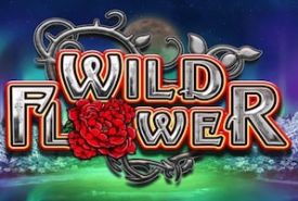 Automat Wild Flower Big Time Gaming