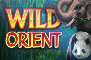 Wild Orient – automat 