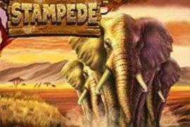 stampede-slot-logo-270x180s